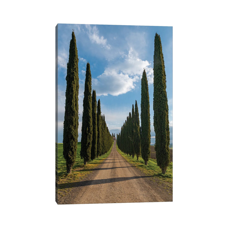 «The Road To Silence», reproduction d'art sur toile tendue, H 12 po x l 8 po, Toile tendue, Ne s’applique pas