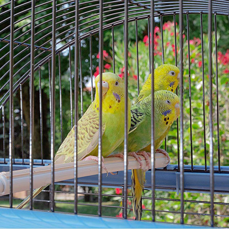 69cm Hanging Bird Cage with Perch