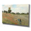 «Poppy Field» par Claude Monet, reproduction-581019220-581019244-665979751