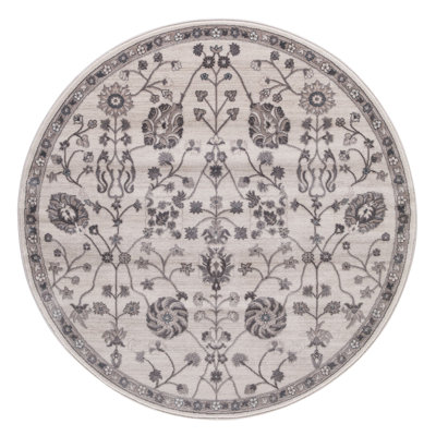 Oriental Indoor Rug