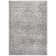 Oriental Light Gray/Ivory Area Rug