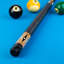 Action Exotic Pool Cue-4030441