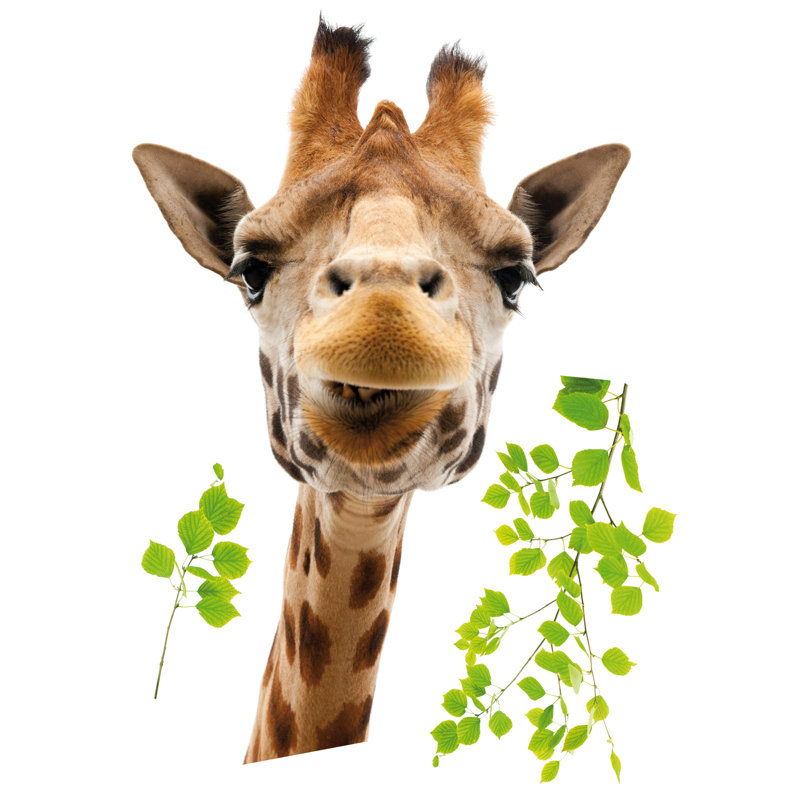 Décalcomanie de fenêtre giraffe