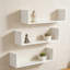 3 Piece Free Form Floating Shelf