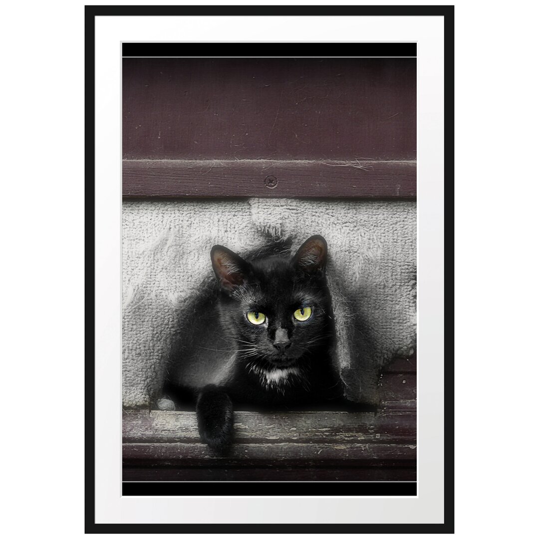 Katze in der Hundeklappe Gerahmte Fotokunstdruck Poster