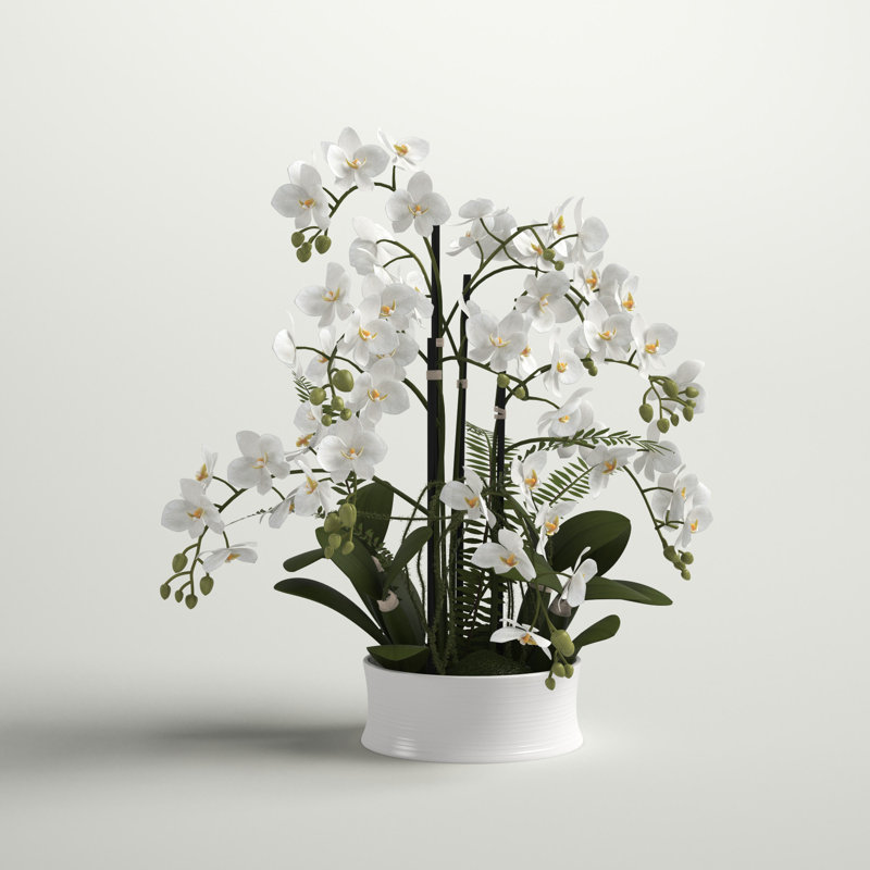 Orchid Arrangement in Planter
