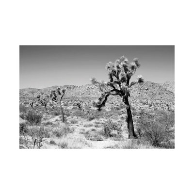 «Black California Series - Joshua Trees Desert» par Philippe Hugonnard - reproduction de photo sur toile tendue