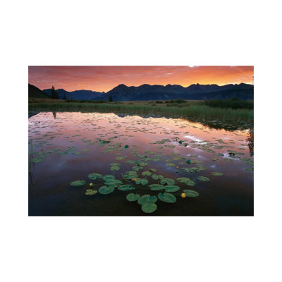 Sunrise Over Granadier Range, Molas Pass, Weminuche Wilderness, Colorado by Tim Fitzharris - Gallery-Wrapped Canvas Giclée on Canvas
