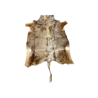 Golden Wildebeest  Rug (genuine wildebeest skin)