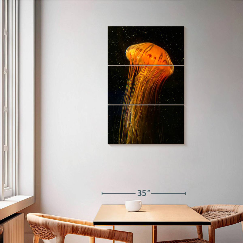Pacific Sea Nettle
