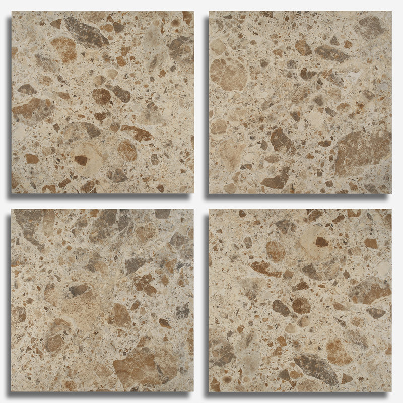 Rizo 24x24 Matte Terrazzo Look Porcelain Tile, Desert