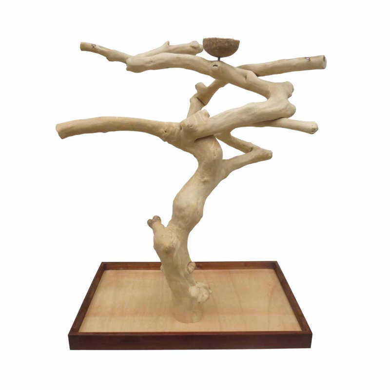 Mini plateau de table Coffeawood Tree