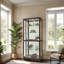Jayden Lighted Curio Cabinet