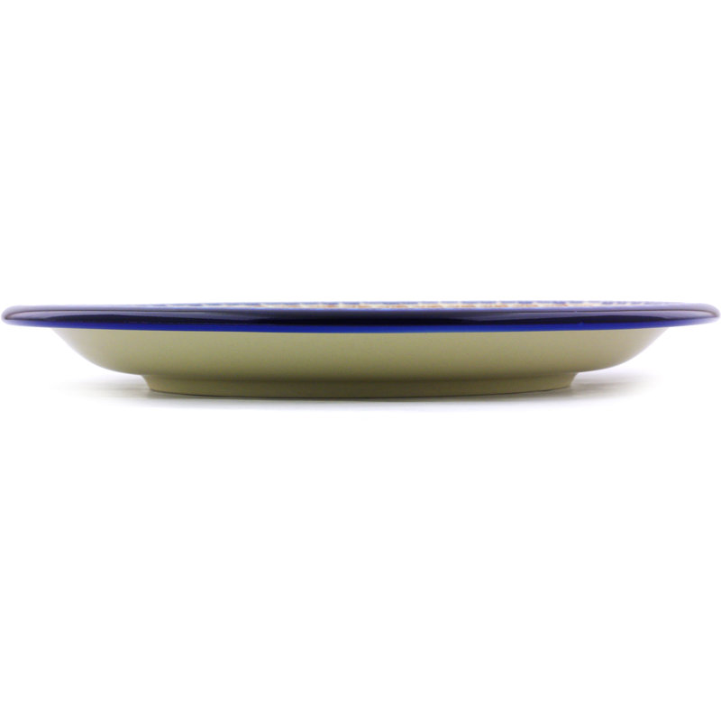 Stoneware Dinner Plate