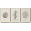 Shore Treasure Study I 3 pièces-97711597-97711598