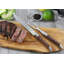 Laguiole 2 - Piece Stainless Steel Carving Set