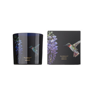 Candle in Jar JUNGLETROPIA 12x12 Colibri Hummingbird 4.92 diam. x 4.92 in