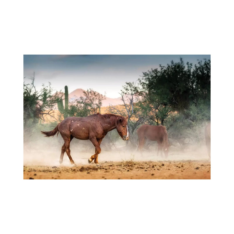 Wild Horse Running in Arizona Desert 1 Piece Wrapped Canvas Wall Art, 20.32 cm H x 30.48 cm W
