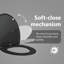 Anthracite Plastic Standard Adjustable Armrests Toilet Seat-1215608312