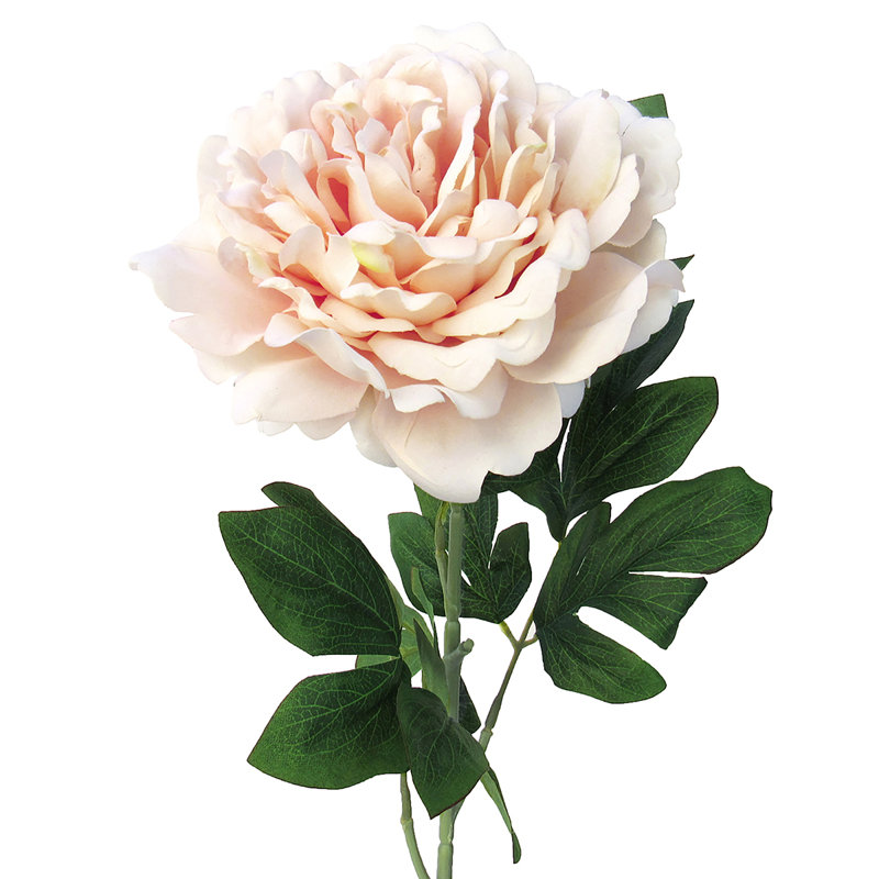 Grande tige de pivoine en velours, Pêche