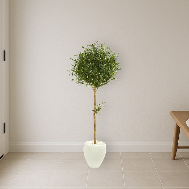 Olive Topiary Artificial Tree in White Planter