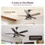 Ventilateur de plafond à 5 pales en bois avec ensemble d'éclairage et télécommande inclus Rasco-328074391