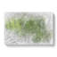 Leaf Veins - Wrapped Canvas-56638018