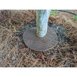 Wood Plants & Flowers Garden Accents Accessories