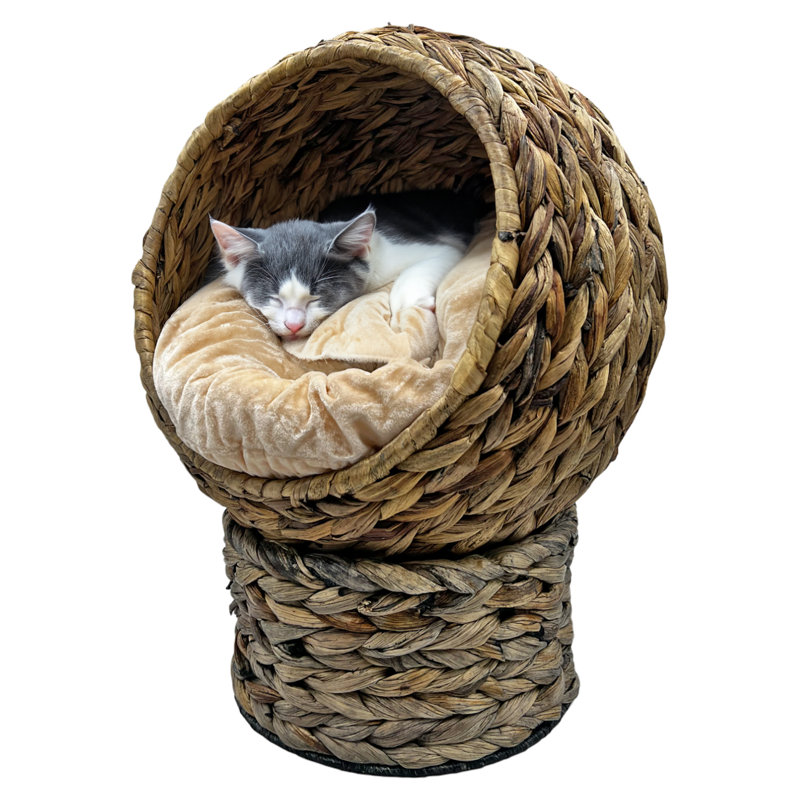Elevated Weaved Pet Beds In Brown