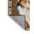 Washable Belgian Sheepdog Dogs Area Rug-1386858978