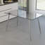 Table de salle à manger en verre, table de salle à manger rectangulaire moderne avec plateau en verre trempé et pieds en métal argenté-1739372088