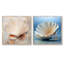 Minimalisme beige et palourdes - Ensemble de 2 animaux-832748532-832748539