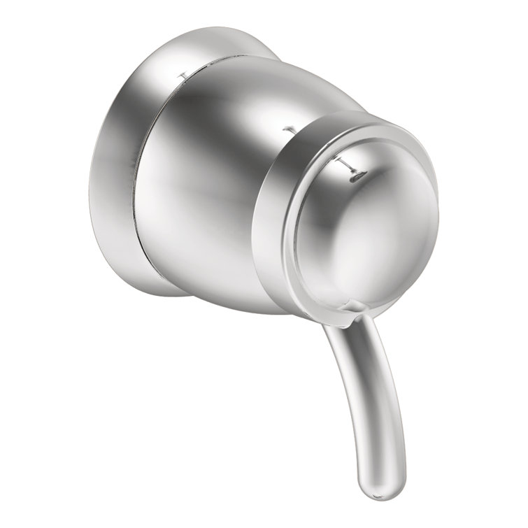 Icon Volume Control Faucet Trim with Lever Handle