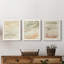 «Garden Treillage Blueprint I», ensemble de 3 peintures sur toile encadrées-830601949-830601925