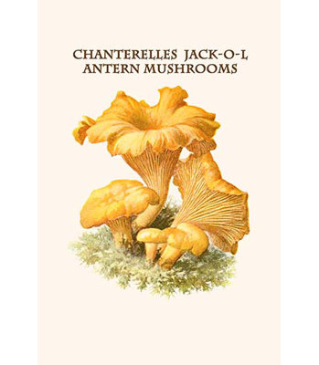 « jack-o-lantern champignons » par edmund michael-impression d’art graphique