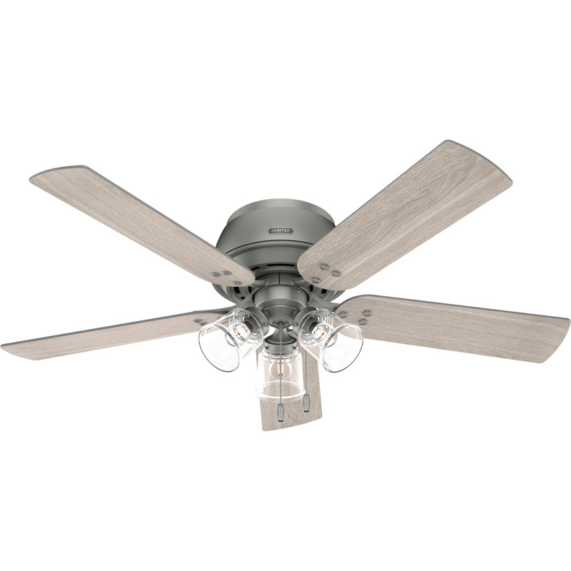 Shady Grove 52" 5 - Blade Ceiling Fan With Lights And Pull Chain, Matte Silver
