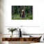 Brampt Grizzly Bear Group-108815749