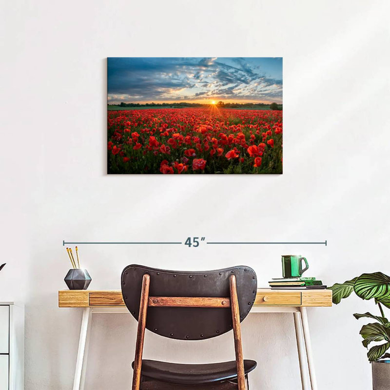 Lever de soleil sur le champ de coquelicots d'Alvord, H 20 po x l 30 po