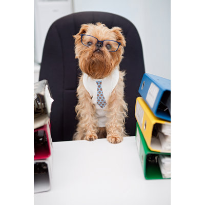 Dog In Glasses by Okssi68 - Wrapped Canvas Print