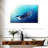 Brampt Underwater Orca-108156116