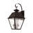 Arnetria Wall Light-22670213