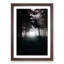 White Wolf in a Forest - Framed Print-55768640-55768643