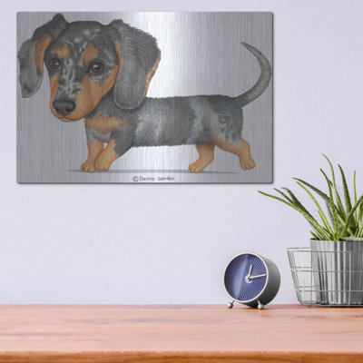 «Dappled Dachshund Walking» par Danny Gordon