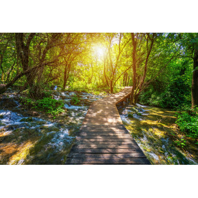 La forêt d'un vert profond