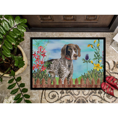 Non-Slip Outdoor Doormat