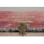 Laurel Aydin Machine Woven Polyester No Pattern Area Rug in Pink-1103469064