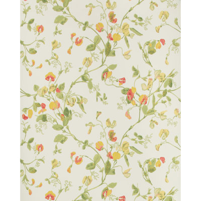 Anthology Sweet Pea Floral Wallpaper Roll