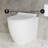 St. Tropez Back-To-Wall Toilet Bundle 0.8/1.6 GPF Dual Flush With Flush Plate-108927920