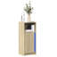 Shylar Sideboard Accent Chest-1690001344