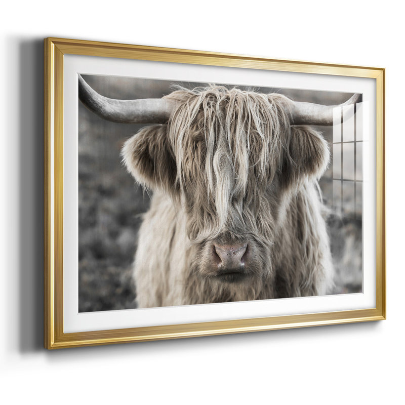 Highland Skye, reproduction d'art encadrée, H 15 po x l 21 po x P 1,5 po, Or